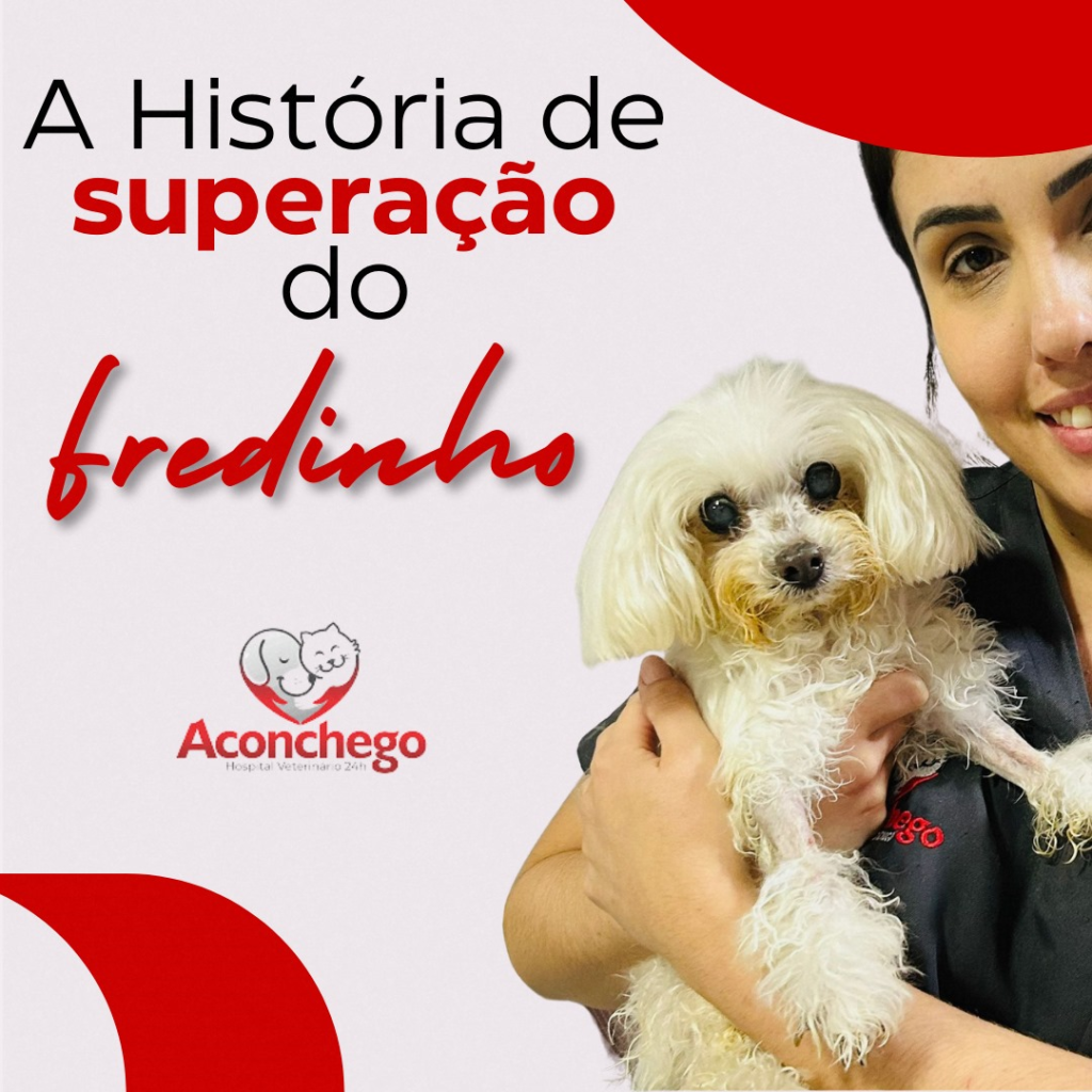 A História de superação do Fredynho